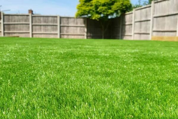 Artificial Lawn Landscaping
